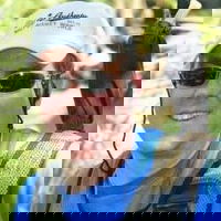 Infrastructure Outlook: Radar Tomography Provides an Underground Point Cloud