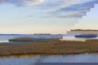 Wetlands Worth their Weight