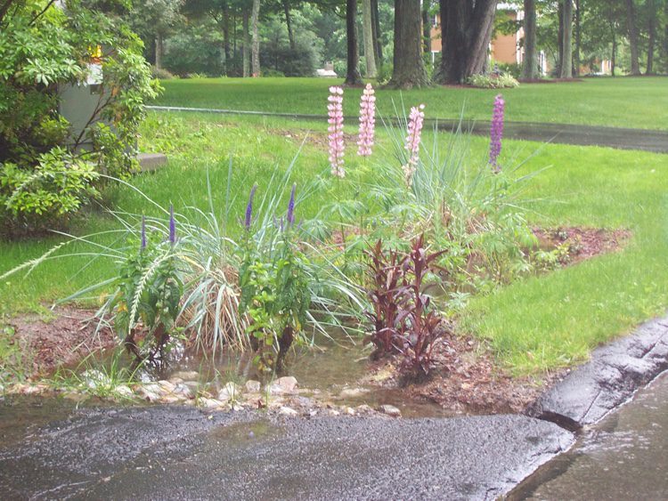 Don’t Lose Your LID—Learn These Lessons for Effective Stormwater Drainage