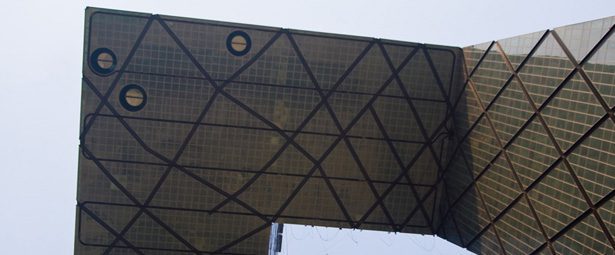 A New Space for Special Collections Opens at the San Diego Natural History Museum