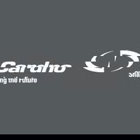 Cardno Negotiates a Permanent Debt Reduction