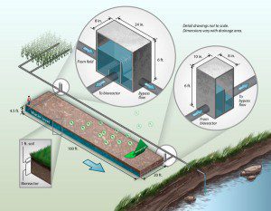 Bringing Life Back to Dead Zones