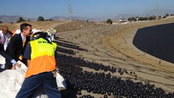 LA’s Shade Balls Actually Worked