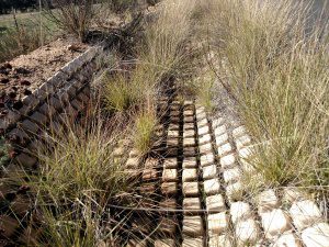 18.IMG_20151129_125850697