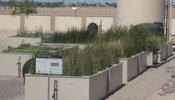 Inland Brine Disposal Wetlands Innovation Project wins Water & Wastes Digest's 2016 Top Project
