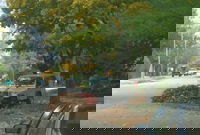 Removal of Fallen Leaves Can Improve Urban Water Quality