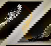 ASCE Honors Five with 2017 OPAL Awards