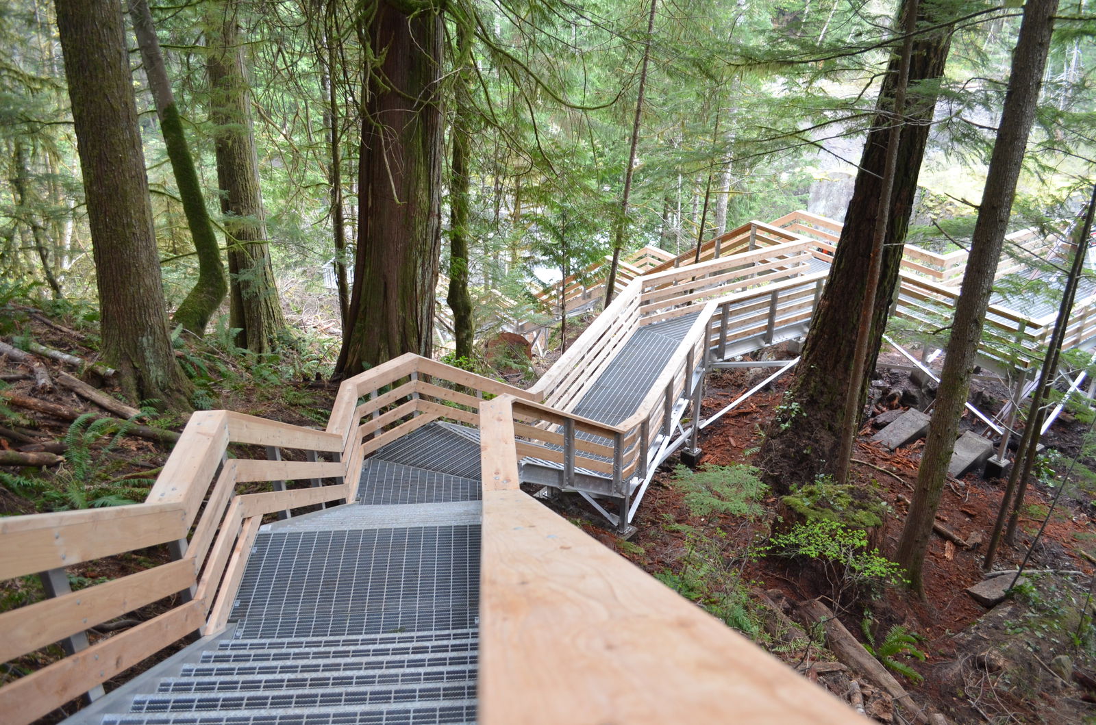 A Scenic, Secure Thriller: Elk Falls Park Suspension Bridge Provides Sensitive Access to Canadian Treasure