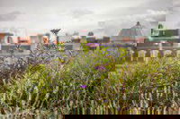 Arup Wins at Landscape Institute (LI) Awards