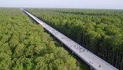 Dewberry Participates in Ribbon Cutting Ceremony to Celebrate the Final Opening of Poinciana Parkway