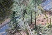 Drone Video Footage Helps Washington State Engineers Monitor Unstable Rock Slide Area