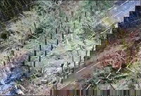 Drone Video Footage Helps Washington State Engineers Monitor Unstable Rock Slide Area