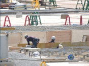 Urgent Investigation Required as Use of Plywood Likely Linked to Tropical Forest Destruction and Human Rights Abuses Found at Construction Site of New Tokyo Olympic Stadium
