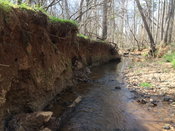 Sustainable Restoration: Engineers Look to Stabilize and Revitalize Historic North Carolina Farm