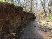 Sustainable Restoration: Engineers Look to Stabilize and Revitalize Historic North Carolina Farm