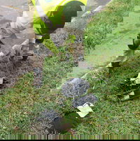 Aclara Provides Next-Generation Advanced Metering Infrastructure Network and Installation Services to DC Water in Connection with Major System Upgrade