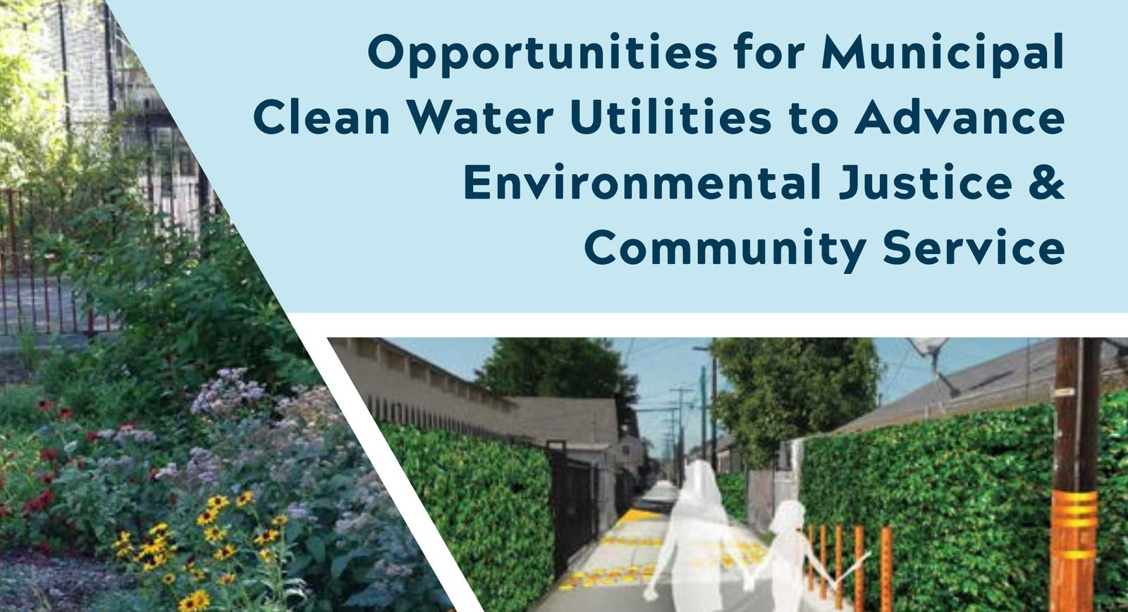 July – August 2017 TRENDS