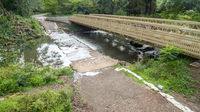 Engineered Solutions: New Bridge in Hawaii Forest Replaces Roadway Prone to Flooding
