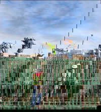 Reports: Trump Tells Senators Tax Reform Can Pay for Infrastructure Plan