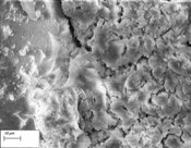 Novel Approach to Concrete Protection Slows Deterioration in Harsh Conditions