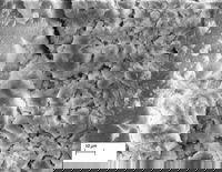 Novel Approach to Concrete Protection Slows Deterioration in Harsh Conditions