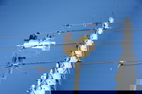 Fluor Completes Major Transmission Lines in Puerto Rico