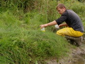 Tracking Wastewater’s Path to Wells, Groundwater