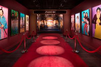 SEAOI 2018 Special Award Winners Announced