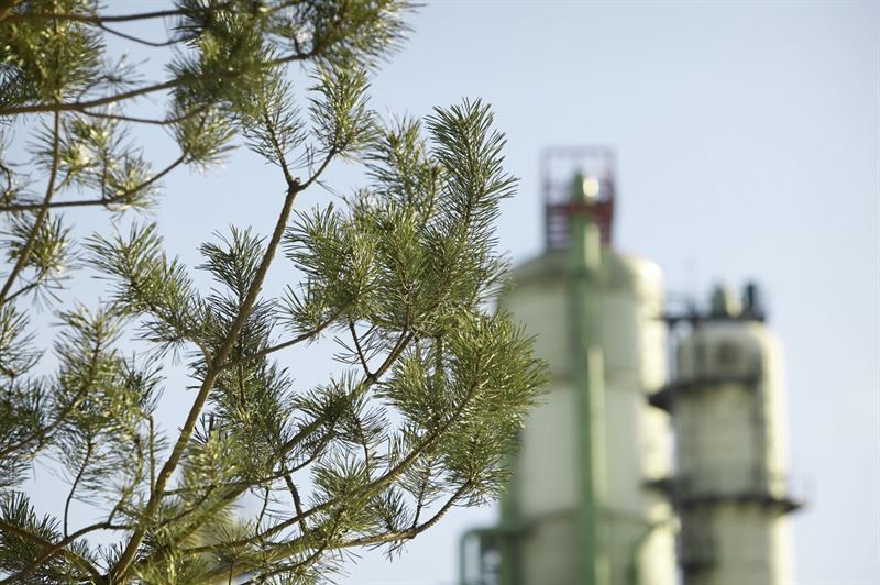 Neste, Borealis and Energy Companies in the Helsinki Metropolitan Region to Study Heat Recovery at Two Industrial Facilities in Kilpilahti