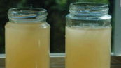 The Kentucky County Where the Water Smells Like Diesel