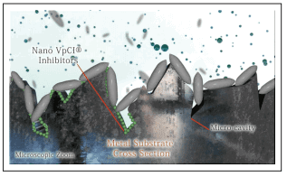 Helping Prevent Corrosion One Molecule at a Time