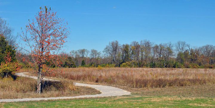 $1.3M Shor Park Improvement Project Groundbreaking Held Today