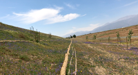 Video: ProGanics Initiates Vegetation Growth on California Roadside