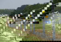 Iowa DOT Hopes to Expand Cable Barrier use Following Favorable Research