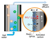Rice U. System Selectively Sequesters Toxins From Water