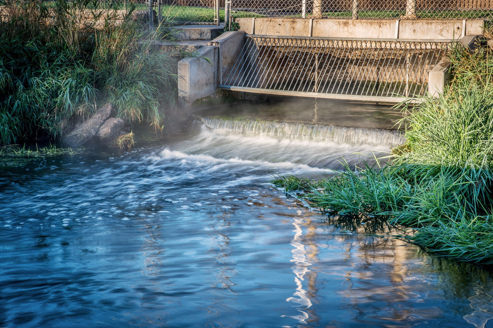 Bionetix® International Introduces Natural and Economical Approach to Enhancing Water Clarity