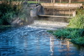 Bionetix® International Introduces Natural and Economical Approach to Enhancing Water Clarity