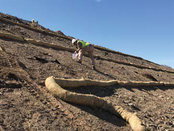 Engineered Solutions: Accelerated Vegetation Establishment on Caltrans Fire Reclamation Site