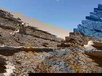 Engineered Solutions: Accelerated Vegetation Establishment on Caltrans Fire Reclamation Site