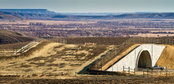 Study Validates Crash-Reduction Benefit of Wildlife Highway Crossing Structures