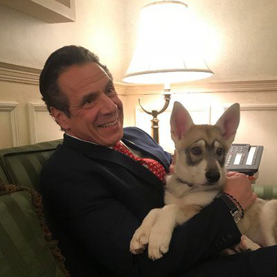 Governor Cuomo Announces New York to Invest $127.7 Million Volkswagen Settlement in Clean Vehicles