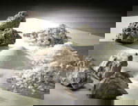 Survey Shows Manufacturers Used Over 2.2 Billion Pounds Of Recycled Materials In The Production Of Fiber Glass And Slag Wool Insulation