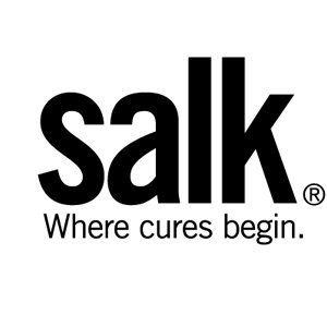 Salk Awarded Keeping It Modern Grant by Getty Foundation