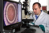 Heraeus Boosts Quality in 3D Printing of Highly Conductive Copper – New Fields of Application in Electromobility, Mobile Communications and Consumer Electronics