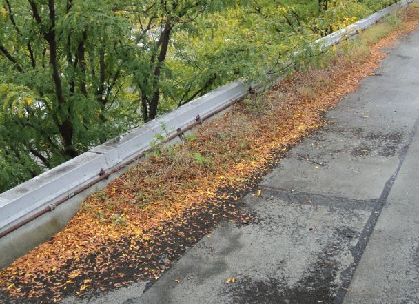 Fall Ideal Time to Prepare Structures for Winter From Roof to Foundation