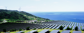 Why the Upsurge in Microgrid Development?