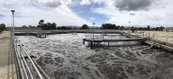 Palo Alto, California, Enlists Brown and Caldwell to Design Wastewater Treatment Upgrades