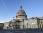 Committee Leadership Comes into Focus for 116th Congress