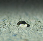 Hycrete Approved as Type S Admixture by the American Association of State Highway and Transportation Officials (AASHTO)