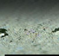 Hycrete Approved as Type S Admixture by the American Association of State Highway and Transportation Officials (AASHTO)